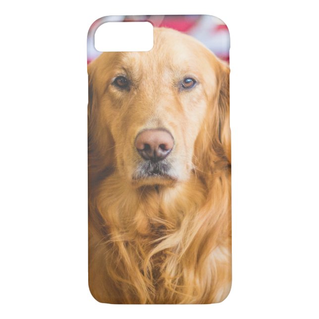 Golden Retriever Hundeportrait Case-Mate iPhone Hülle (Rückseite)