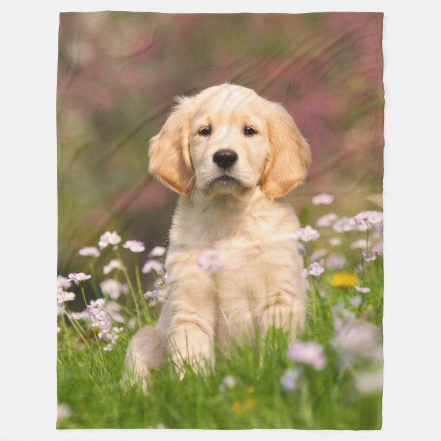 Golden retriever-Hundewelpe, bequem Fleecedecke (Vorderseite)