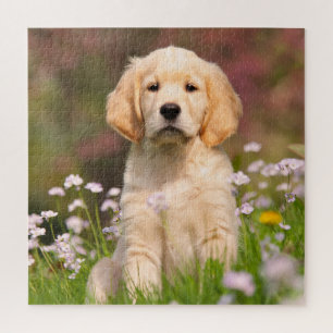Golden Retriever Hundewelpen niedlich Goldie Puzzle