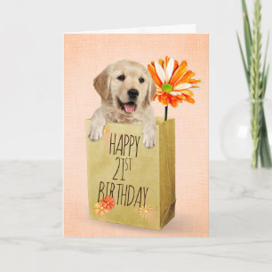 Golden Retriever im 21. Geburtstag Karte