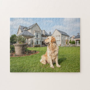 Golden retriever im Garten-Puzzlen Puzzle