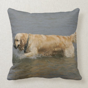 Golden retriever im Wasser Kissen