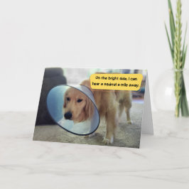 Golden Retriever in Cone Wohlfühlen Karte