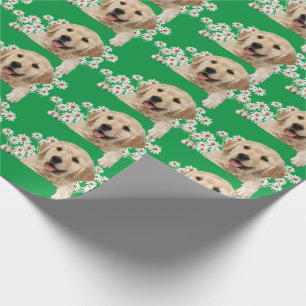 Golden Retriever in den Gängen auf Grün Geschenkpapier