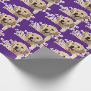 Golden Retriever in den Gängen auf lila Geschenkpapier