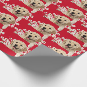 Golden Retriever in den Gängen auf rot Geschenkpapier