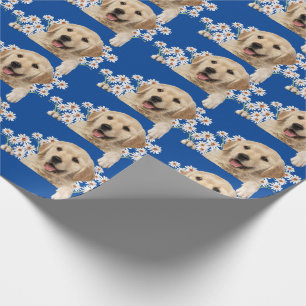 Golden Retriever in den Gänsen auf blau Geschenkpapier