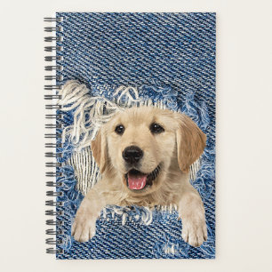 Golden Retriever in Denim Hole Planer