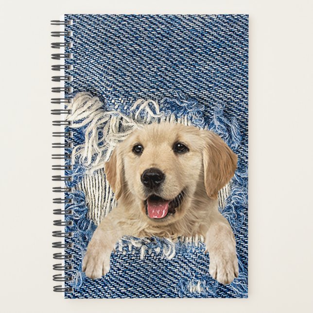 Golden Retriever in Denim Hole Planer (Vorderseite)