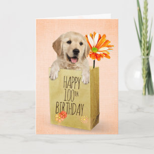 Golden Retriever in der 100. Geburtstagstasche Karte