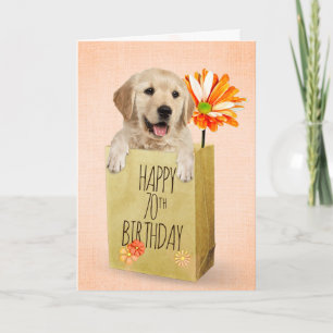 Golden Retriever in der 70. Geburtstagstasche Karte