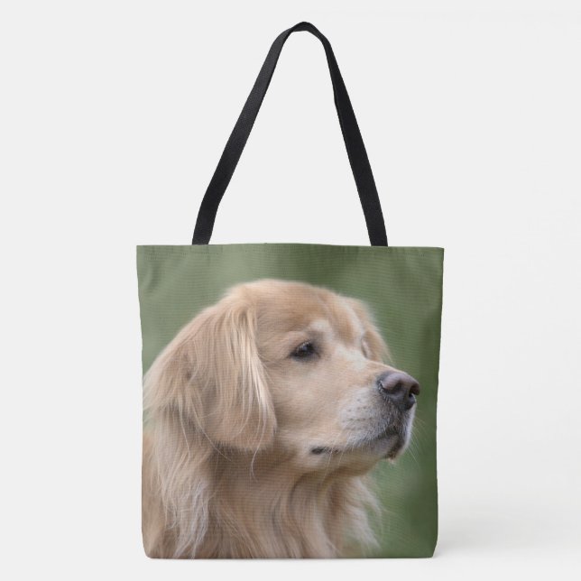 Golden retriever in der Nahaufnahme (Vorderseite)