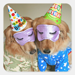 Golden Retriever in Pajamas Geburtstag Quadratischer Aufkleber