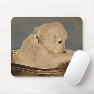 Golden Retriever in retro Waschzuber Mousepad