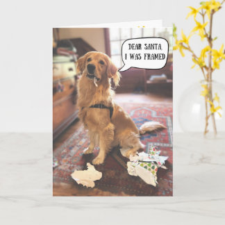 Golden Retriever in Schwierigkeiten mit Weihnachts Karte