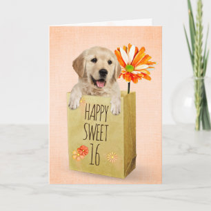 Golden Retriever in Sweet 16 Birthday Bag Karte