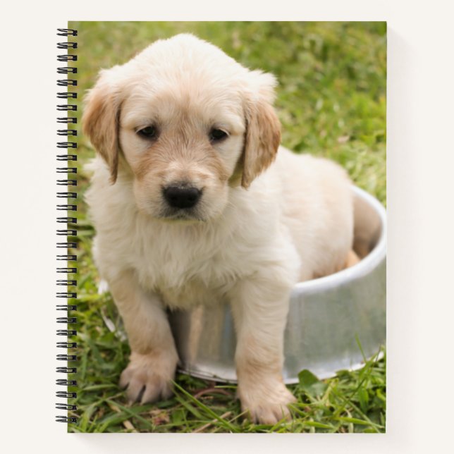 Golden Retriever in Water Bowl Spirale Notebook Notizbuch (Vorderseite)