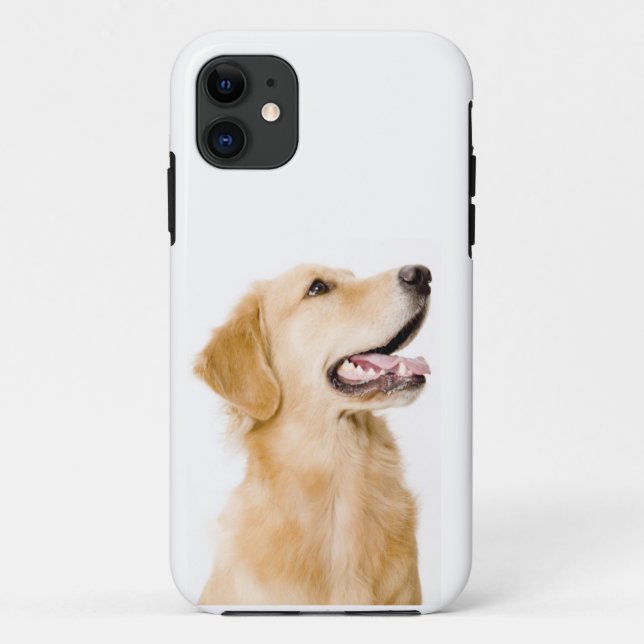 Golden retriever iPhone Fall Case-Mate iPhone Hülle (Rückseite)