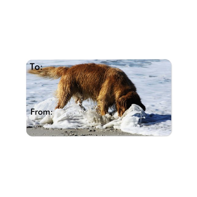 Golden Retriever JEDER STOP! Ich habe meinen Konta Adressaufkleber (Vorne)