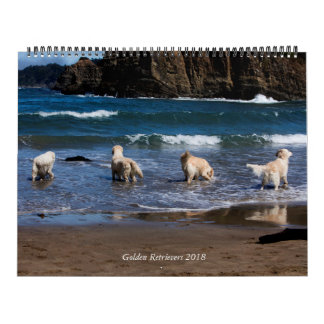Golden retriever-Kalender 2018 Kalender