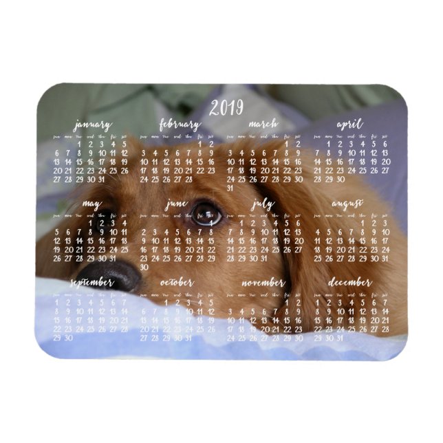 Golden Retriever Kalender 2019 mit Foto Magnet (Horizontal)