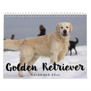 Golden Retriever Kalender 2023 Fotos hinzufügen