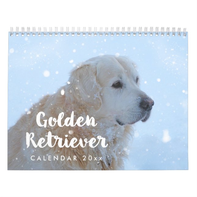 Golden Retriever Kalender 2026 Monatlich (Titelbild)