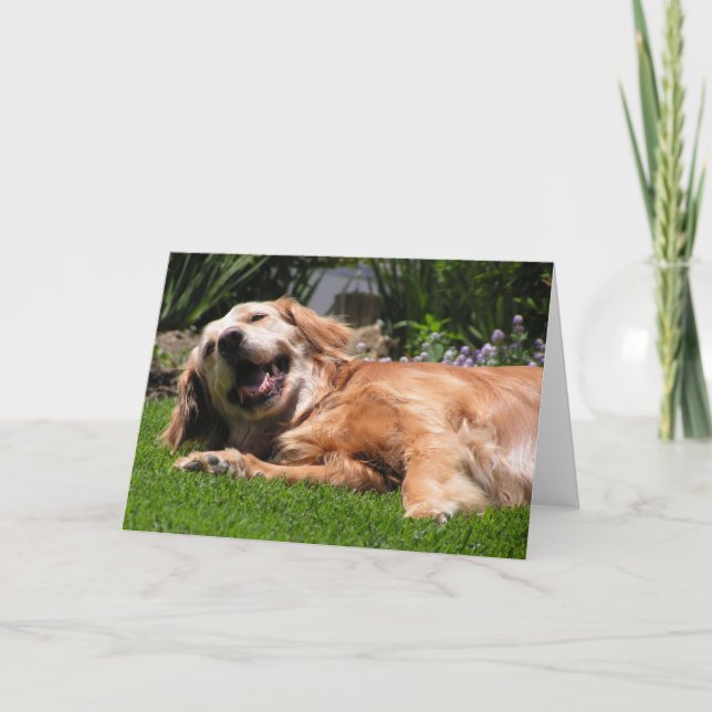Golden Retriever Karte (Vorderseite)