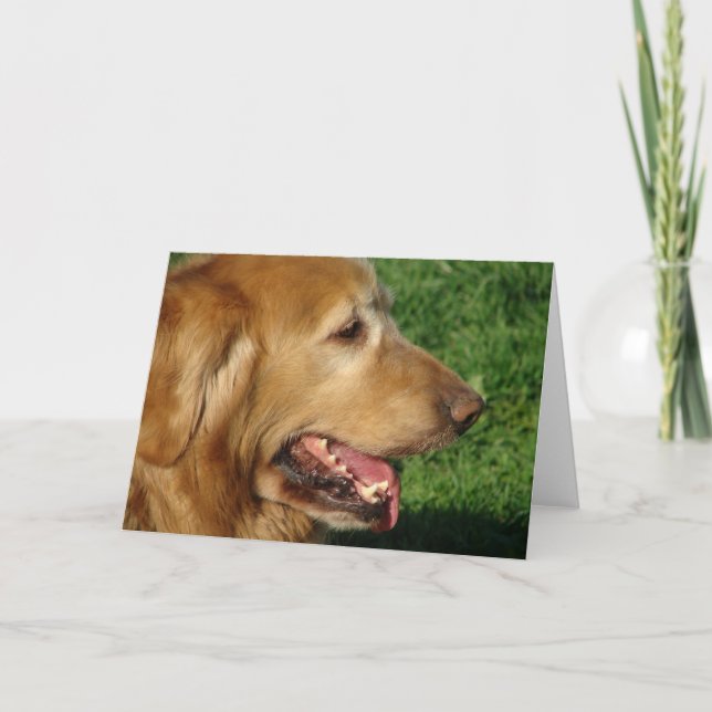 Golden Retriever Karte (Vorderseite)