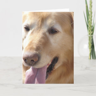 Golden Retriever Karte