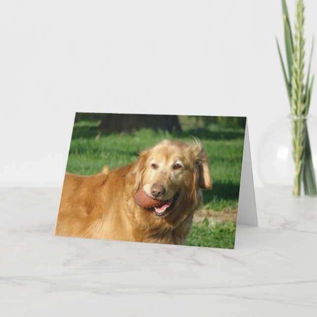 Golden Retriever Karte (Vorderseite)