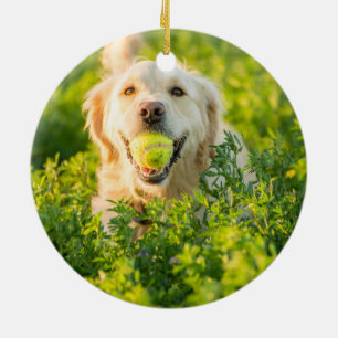 Golden Retriever Keramik Ornament