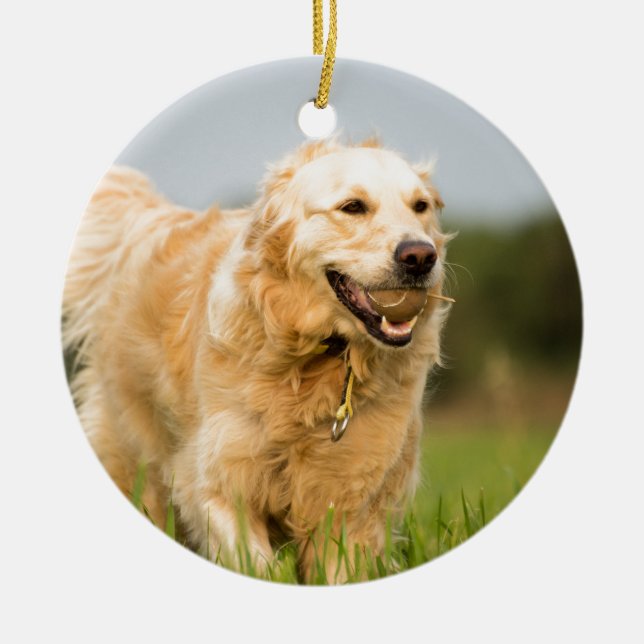 Golden Retriever Keramik Ornament (Vorne)
