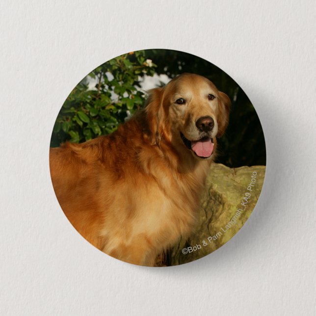 Golden retriever-Keuchen Button (Vorderseite)