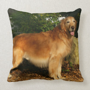 Golden retriever-Keuchen Kissen