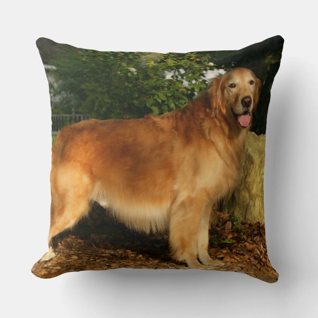 Golden retriever-Keuchen Kissen (Vorderseite)