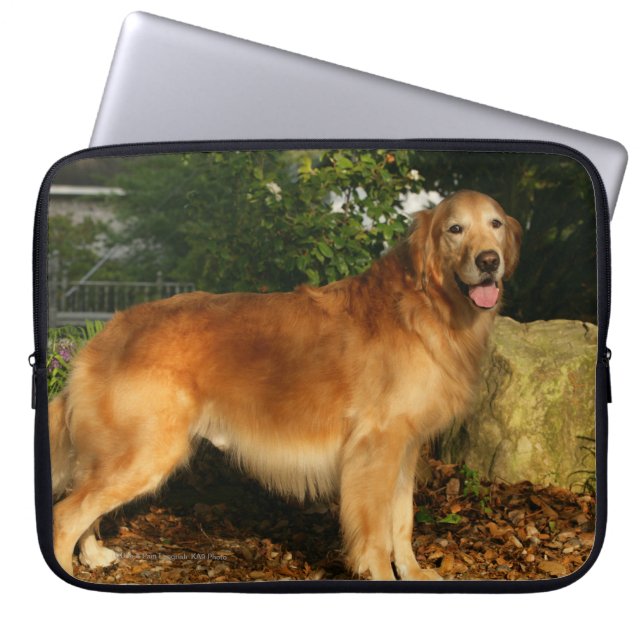 Golden retriever-Keuchen Laptopschutzhülle (Vorderseite)