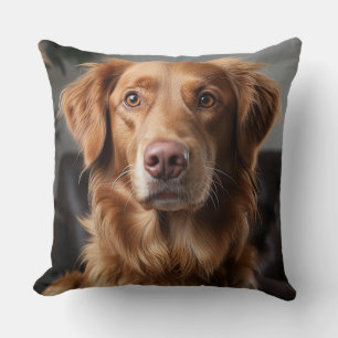 Golden Retriever Kissen