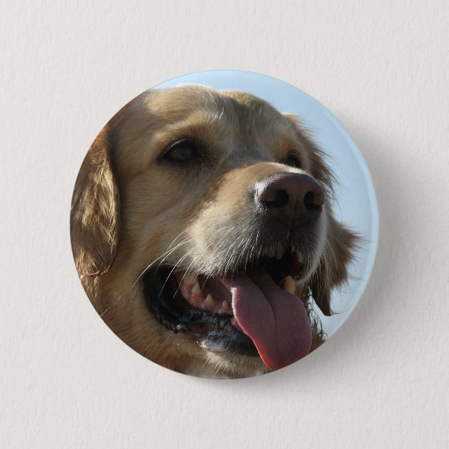 Golden retriever-Knopf Button (Vorderseite)