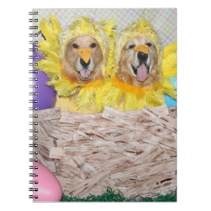 Golden retriever-Küken in einem Nest Notizblock