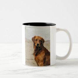 Golden Retriever Kunst Geschenke Zweifarbige Tasse