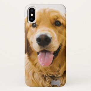 Golden Retriever Lächeln Case-Mate iPhone Hülle