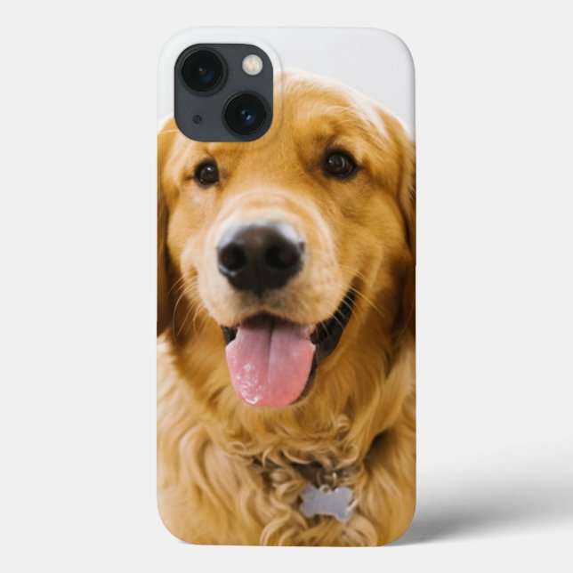 Golden Retriever Lächeln Case-Mate iPhone Hülle (Rückseite)