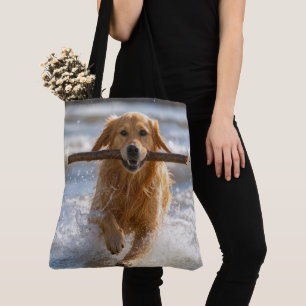 Golden Retriever läuft mit einem Strandstock