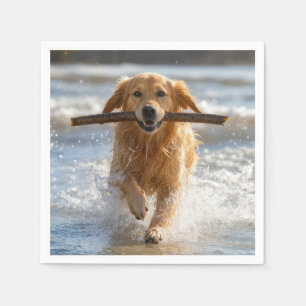 Golden Retriever läuft mit einem Strandstock Serviette