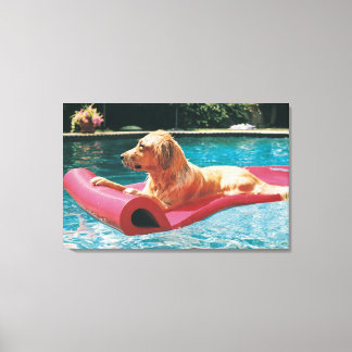 Golden Retriever Lern on a Air Bed and Breakfast Leinwanddruck