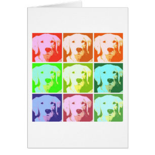 Golden Retriever Liebe