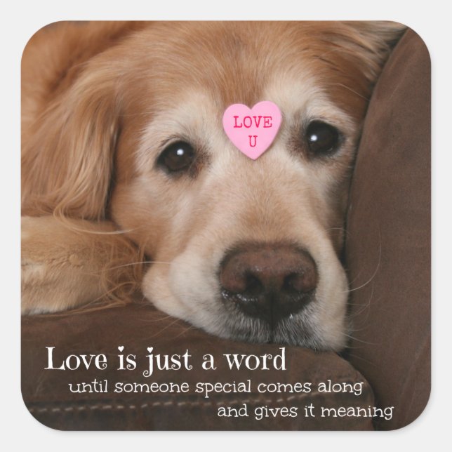 Golden Retriever Liebe ist nur ein Wort Quadratischer Aufkleber (Vorderseite)