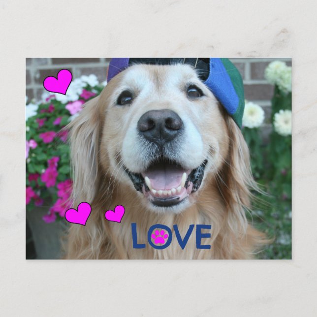 Golden Retriever Liebe Postkarte (Vorderseite)