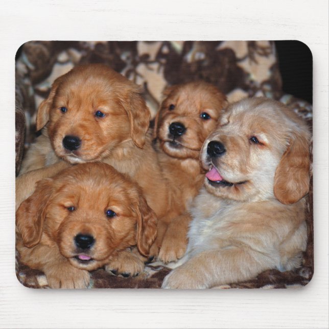 Golden Retriever Litter Mousepad (Vorne)